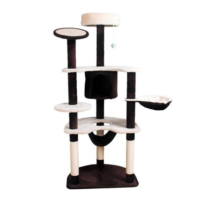 Crainn cat sturdiest